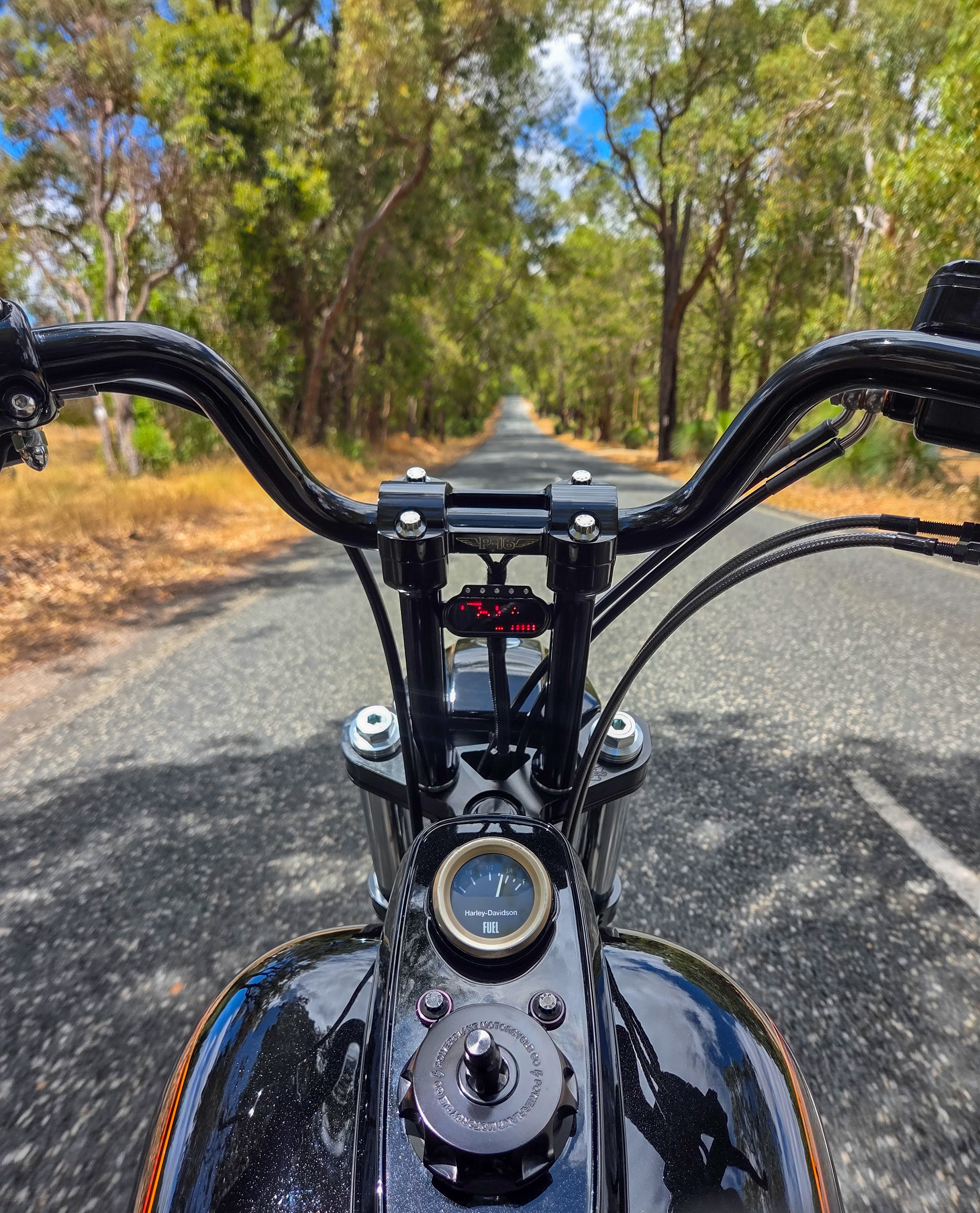 Sam's FXR engine bay and tank detail